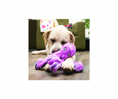 KONG SoftSeas Octopus L – Blød og sjov aktivitetsbamse til hunde