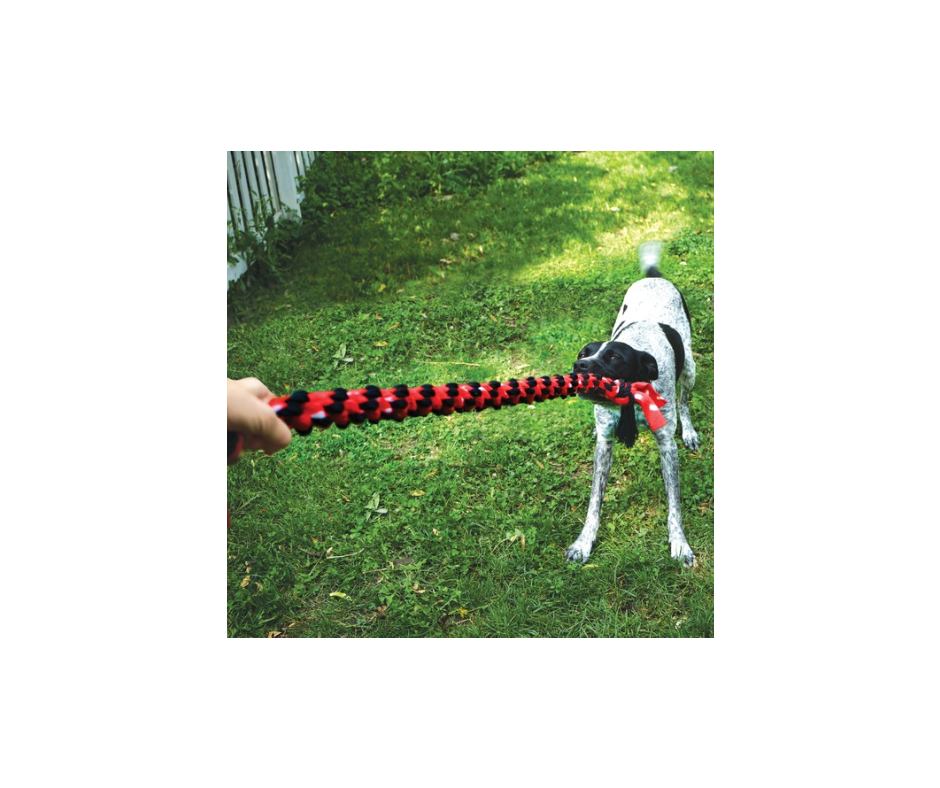 KONG Signature Rope Double Tug – Holdbart Trækkelegetøj til Hunde
