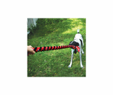 KONG Signature Rope Double Tug – Holdbart Trækkelegetøj til Hunde