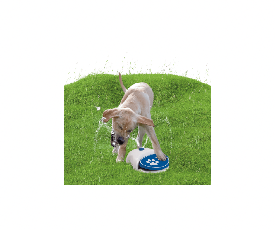 CoolPets Splash Water Fountain – Sjov og praktisk vandsprinkler til hunde