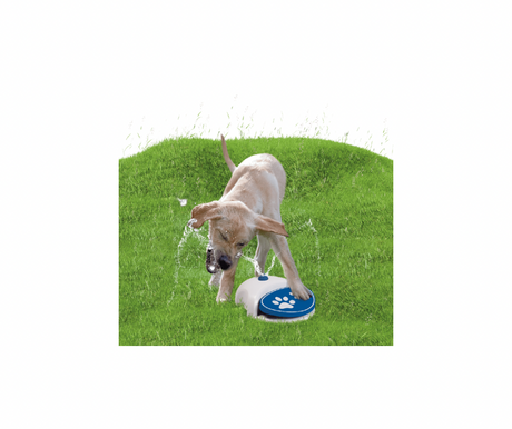 CoolPets Splash Water Fountain – Sjov og praktisk vandsprinkler til hunde