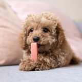 Yaki Jordbær – Vegetarisk ostesnack med lang tyggetid