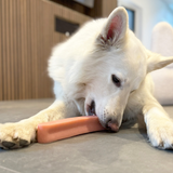 Yaki Mint – Vegetarisk ostesnack med frisk mint og lang tyggetid