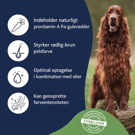 Dr. Clauder’s Pigment Activ Carrot Pellets – naturlig pigmentstøtte til hunde