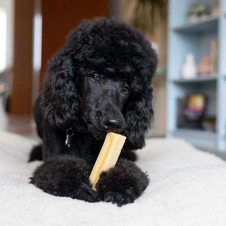 Yaki neutral – vegetarisk tyggesnack med ekstra lang tyggetid