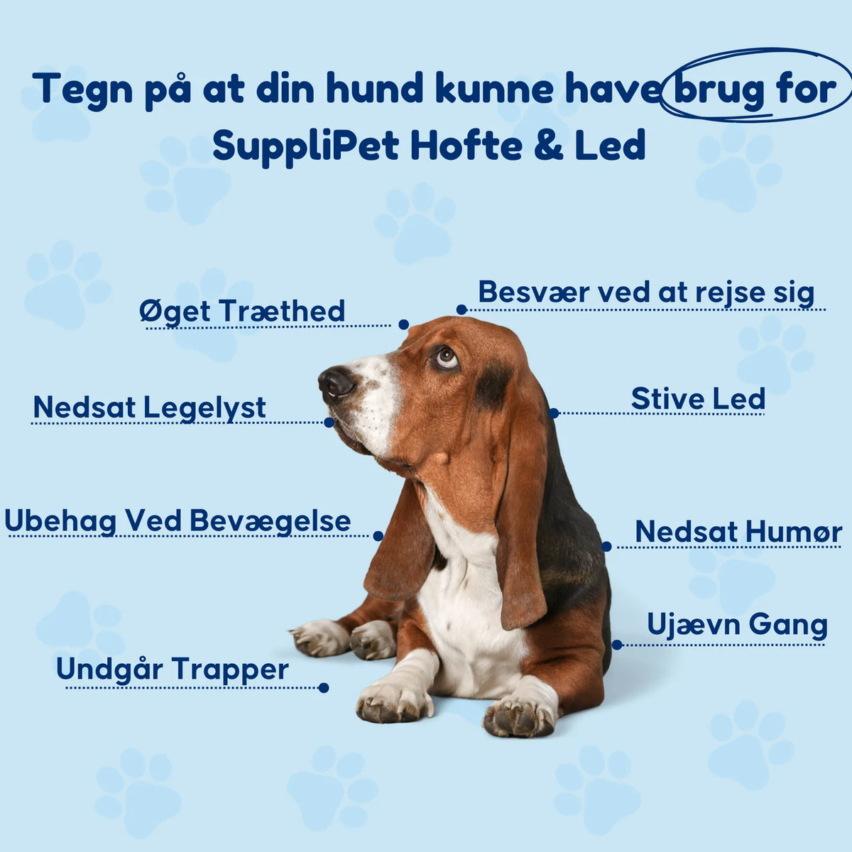 SuppliPet Hofte & Led – daglige godbidder til mobilitet, hofter & led