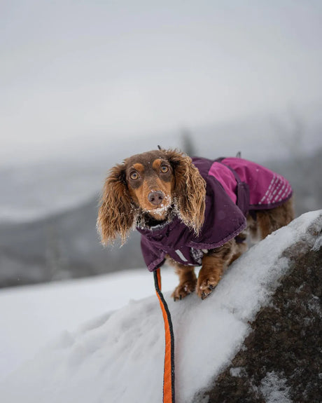 Non-stop Dogwear Glacier Jacket 2.0 – Ultimativ beskyttelse og komfort til kolde vejrforhold