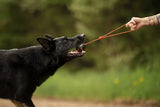 Non-stop dogwear Dog Ball on Rope – hundebold med reb | Vælg 60 eller 70 mm