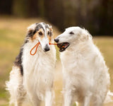 Non-stop dogwear Dog Ball on Rope – hundebold med reb | Vælg 60 eller 70 mm