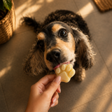 CoolPets Ice Cream/Cookie Tray – lav dine egne hunde-is & sunde godbidder