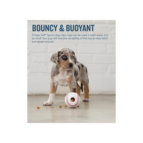 Planet Dog Baseball – aktiveringsbold med plads til godbidder