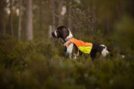 Protector Vest – Sikkerhed og synlighed til aktive hunde